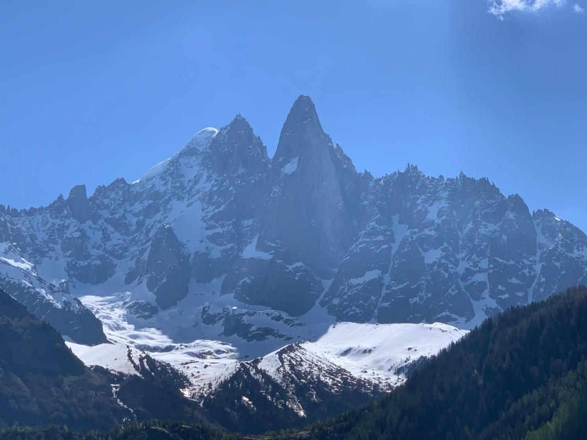 Hotel Le Labrador Chamonix Ngoại thất bức ảnh