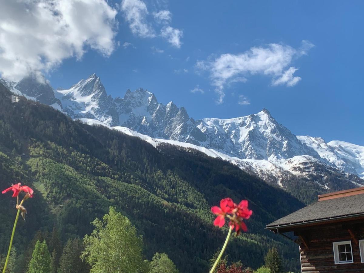 Hotel Le Labrador Chamonix Ngoại thất bức ảnh